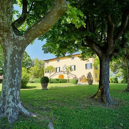 Historic Franchini Lucca